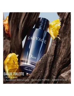 DIOR Sauvage Eau De Toilette Refill 300ml -DIOR SHOP unnamed file 193