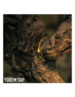 DIOR L'Or De Vie La Creme -DIOR SHOP unnamed file 367