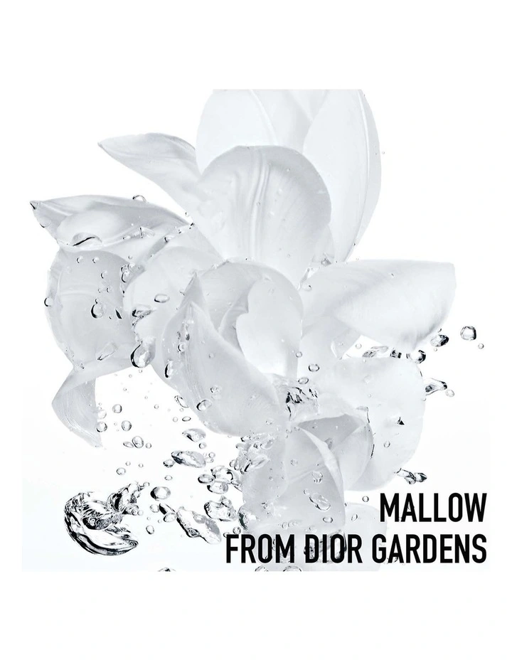 Hydra Life 2 in 1 Sorbet Water DIOR Hydra Life 2 In 1 Sorbet Water -DIOR SHOP unnamed file 398