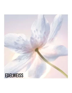 Diorsnow Essence Of Light Purifying Brightening Foaming Face Cleanser -DIOR SHOP unnamed file 452