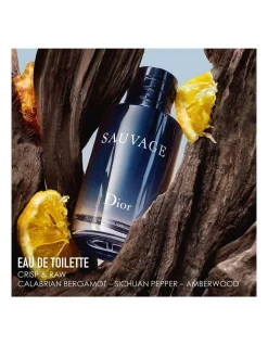 DIOR Sauvage Eau De Toilette 100ml Limited Edition Gift Set -DIOR SHOP unnamed file 850